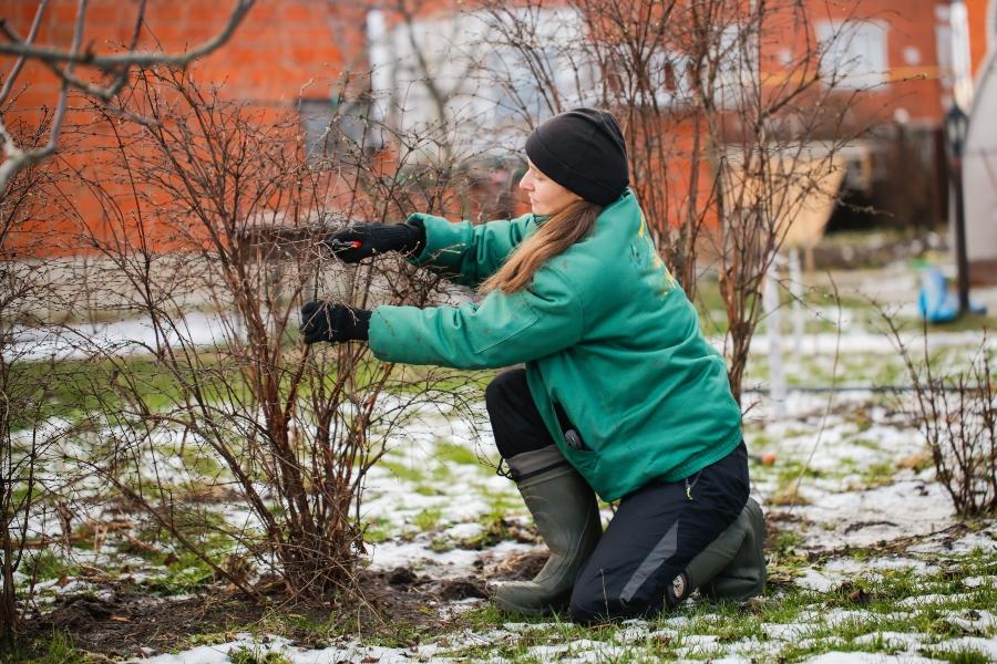 Gartenarbeit im Winter