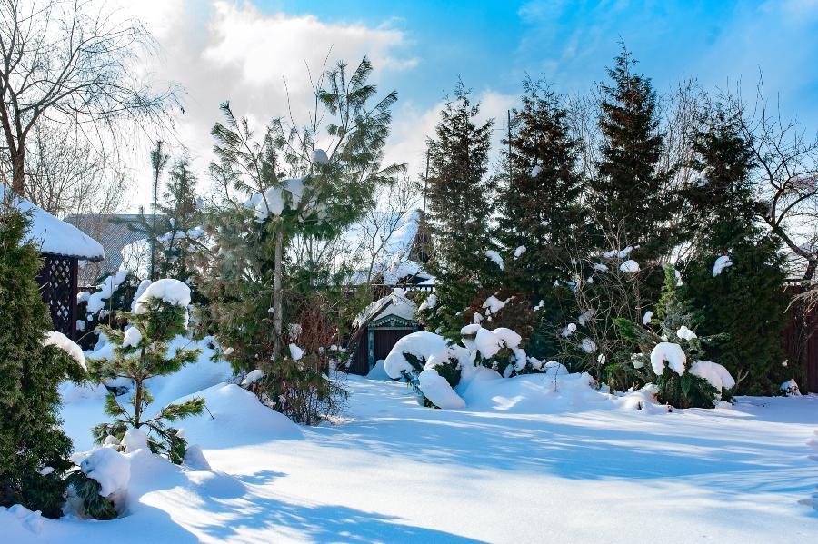 garten-in-der-winterzeit