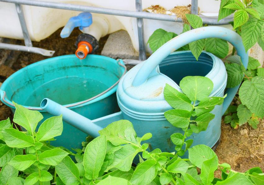 Am Auslaufhahn eines IBC-Containers stehen eine Gießkanne und ein Eimer im Garten.