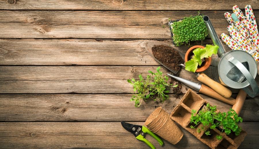 Gartentipps fuer das Fruehjahr
