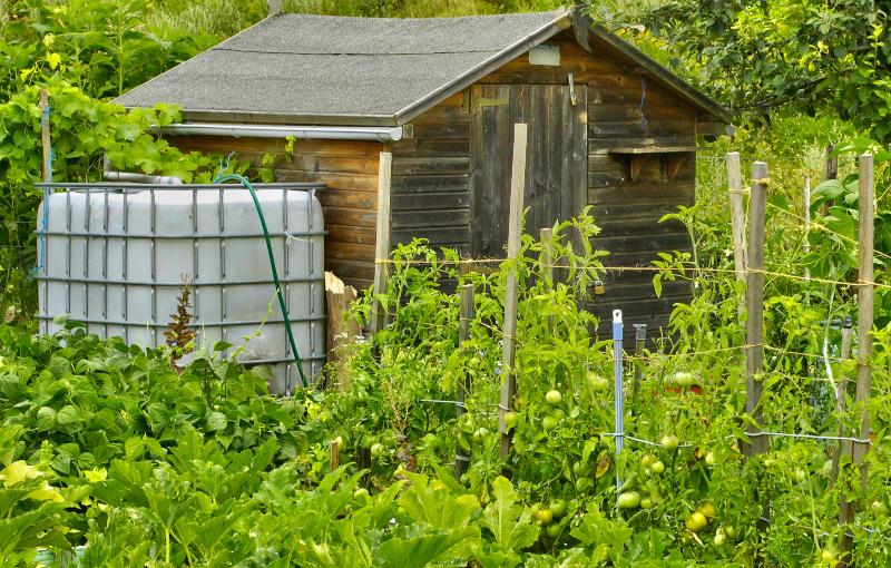 Ein IBC-Container, der in einem Garten steht und fast völlig von Hecken und Pflanzen verdeckt wird Distanzstück