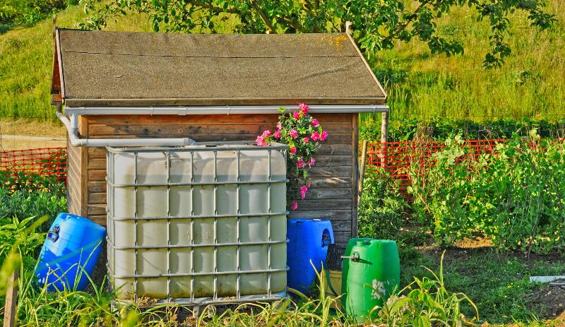 Ein IBC-Container steht in einem Garten vor einem kleinen Schuppen Distanzstück