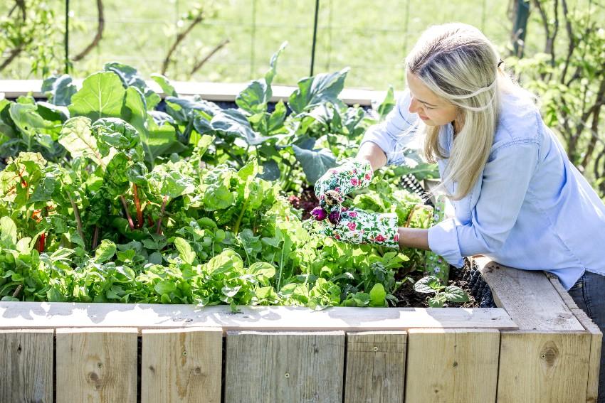 Frau arbeitet am Hochbeet