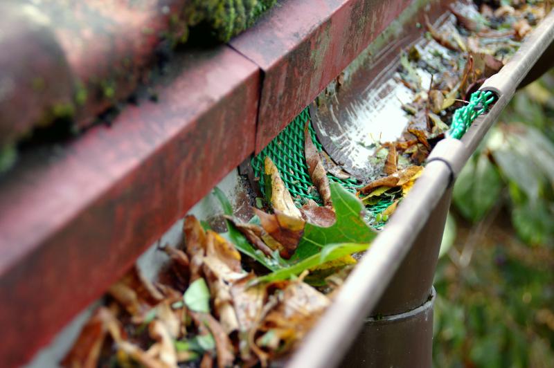 Laub, Äste und anderer Schmutz in einer Dachrinne, von der ein Fallrohr abzweigt