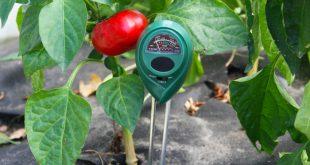 Gartensensor im Garten