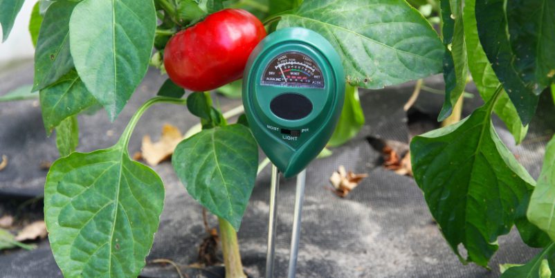 Gartensensor im Garten