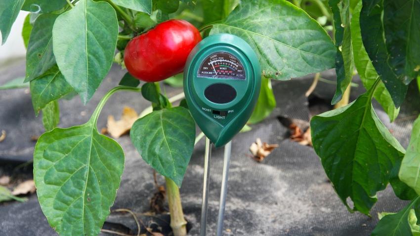 Gartensensor im Garten