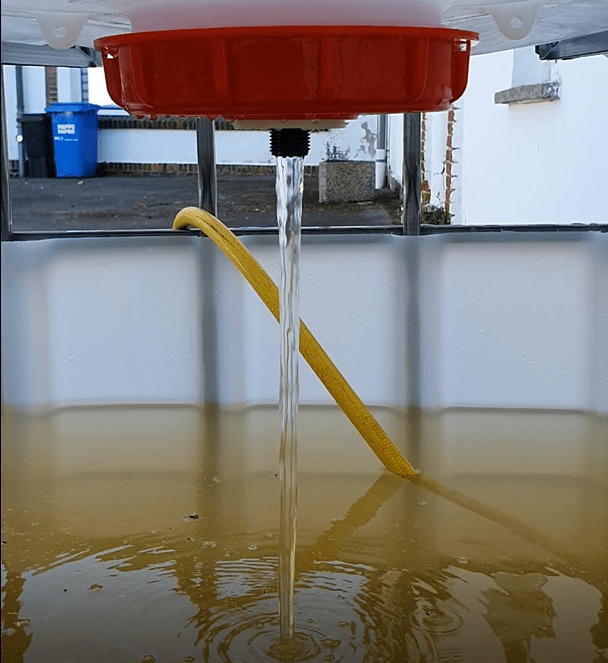 Sauberes Wasser fließt aus dem Pflanzbeet in das Fischbecken