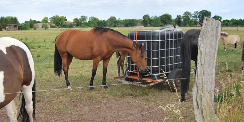 Wassertränke für den IBC