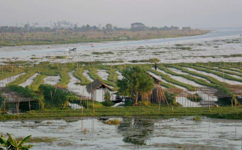 Blick auf die traditionelle Hydrokulturen des Inle-Sees in Myanmar