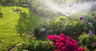 Gartenbewässerung - Automatische Bewässerung