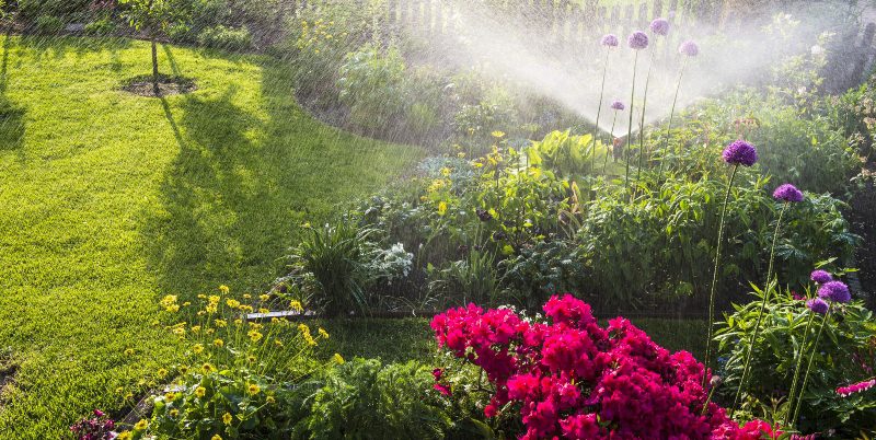 Gartenbewässerung - Automatische Bewässerung