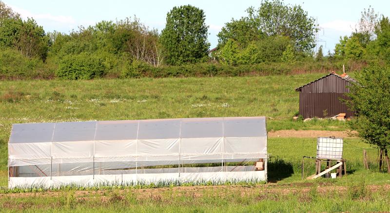 Ein IBC-Hochtank neben einem Gewächshaus, das in einsamer Lage