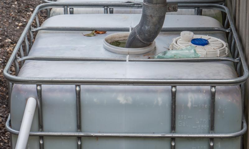 Ein Fallrohr ist direkt in die Einlassöffnung eines IBC-Containers gesteckt. So wir d Regenwasser für die Gartenbewässerung gesammelt