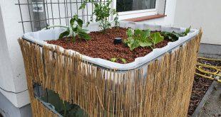 Aquaponic Kreislaufanlage