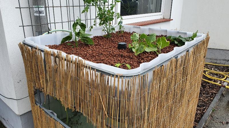 Aquaponic Kreislaufanlage