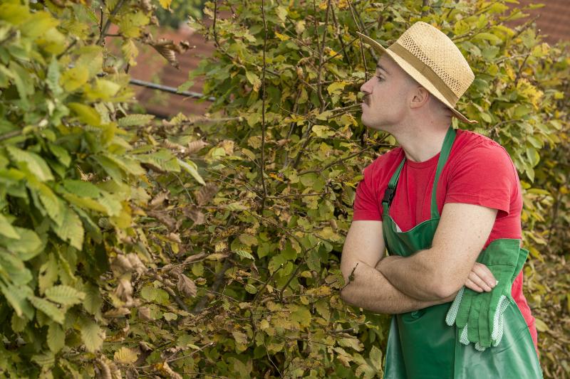 Hochbeet clever als Sichtschutz nutzen