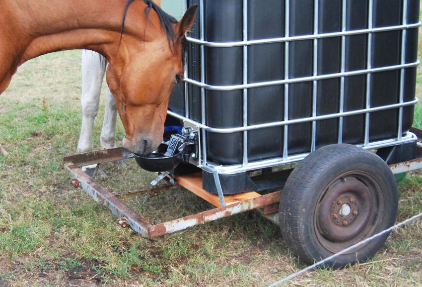 Selbsttränke für IBC Container