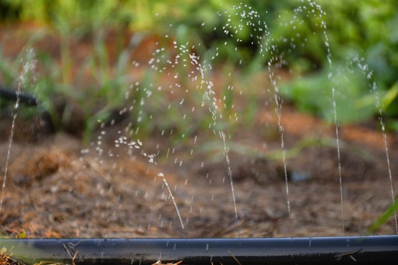 Ein Sprühschlauch in Großaufnahme, durch die kleinen Löcher dringen kleine Mengen Wasser heraus Bewässerungsschläuche