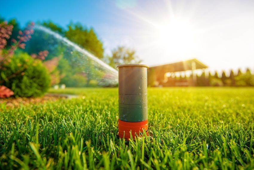 Gartenberegnungsanlage planen