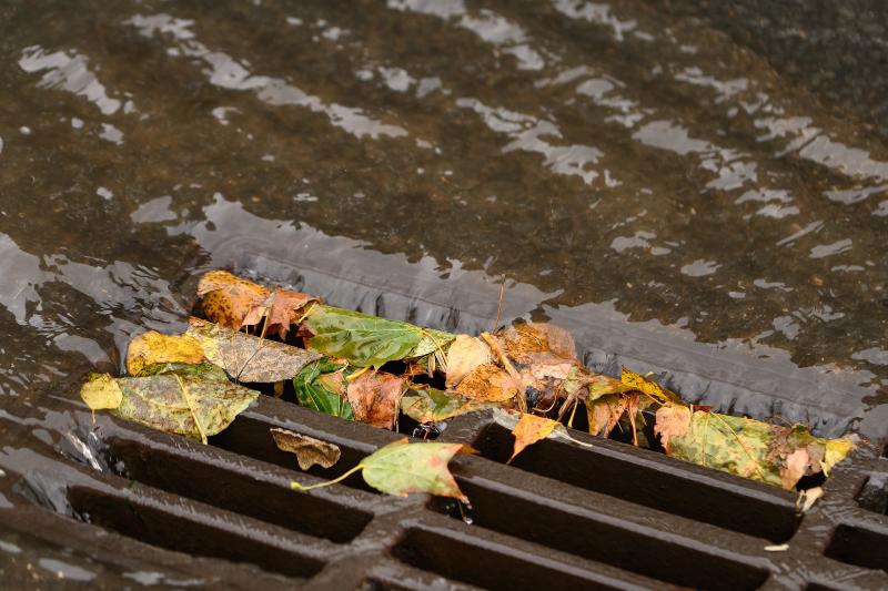 Abwasser fließt durch einen Gullydeckel in die Kanalisation