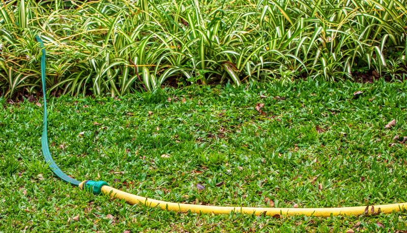 Auf der Rasenfläche eines Gartens sind zwei Gartenschläuche mittels Schnellkupplung miteinander verbunden