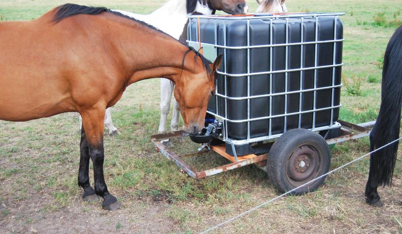 IBC Adapter S60x6 - Pferdetränke PE inkl. Anschlußset Wasserspeicher