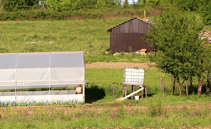 Neben einem Gewächshaus steht ein IBC-Container auf einem Podest, der für eine drucklose Bewässerung genutzt wird