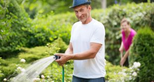 Mann mit Gartenschlauch gießt Blumen