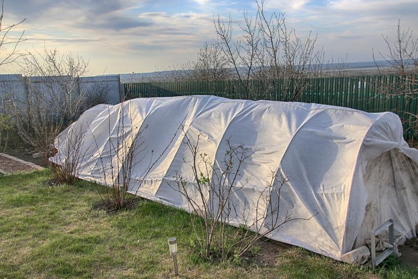 Schutzzelt für Wintergemüse