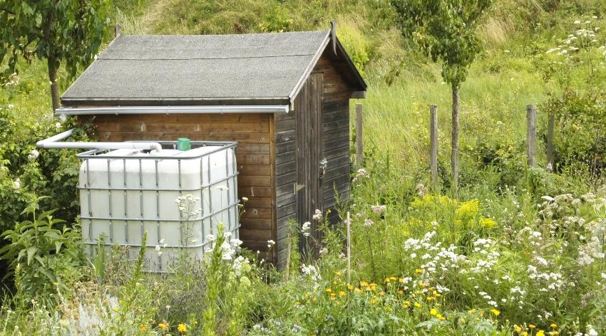 Gefüllter IBC steht als Regecontainer neben einer kleinen Hütte