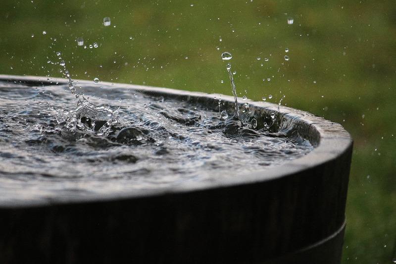 Ein bis zum Rand mit Wasser gefülltes Fass steht im Garten. Einsetzender Regen tropft hinein. 