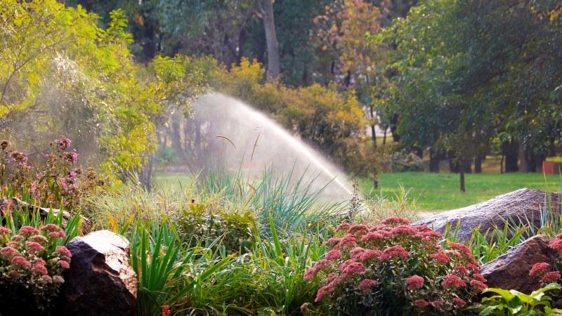 Ein Regner wässert einen schön und abwechslungsreich bepflanzen Garten Beregnungsplanung