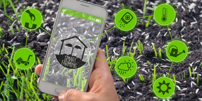 Bewässerung im Smart Garden - Smartphone im Garten