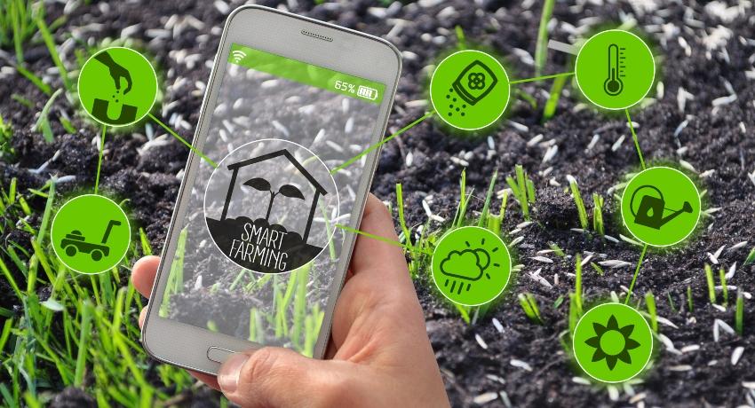Bewässerung im Smart Garden - Smartphone im Garten