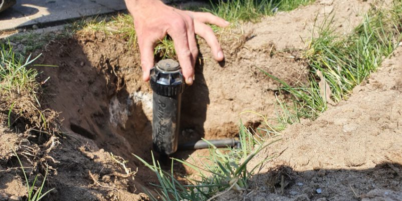 Wasserpumpen für die Gartenbewässerung - REKUBIK® Magazin