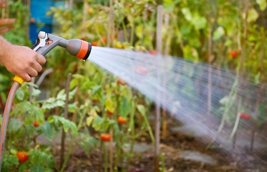 Gartenbewässerung per Schlauch per Wasserzapfstelle oder Wassersteckdose