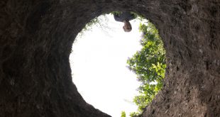 Blick aus einem Brunnen heraus - Brunnenbau für die Gartenbewässerung