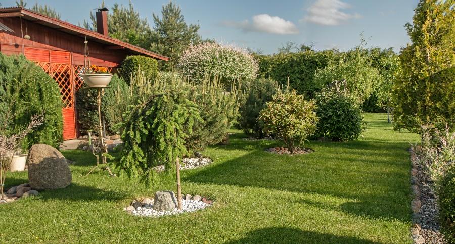 Bäume als Solitärpflanzen im Garten