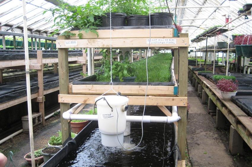 Aquaponik-System der US-amerikanischen Organisation Growing Power - Cycle-Farming