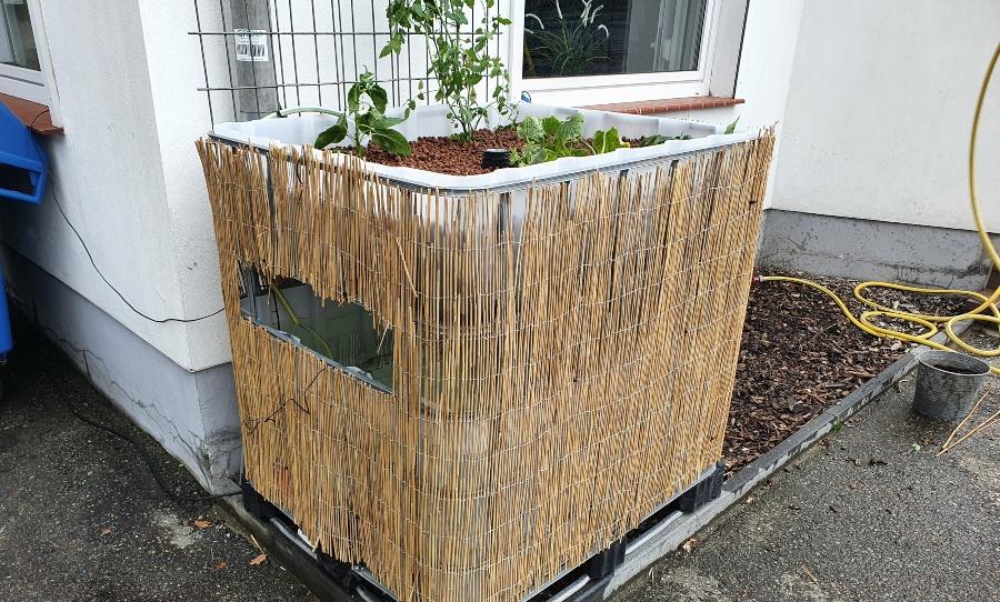 IBC Tank als Aquaponik - Cycle-Farming