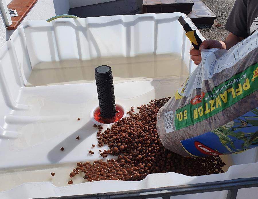 Aquaponicsystem für Einsteiger