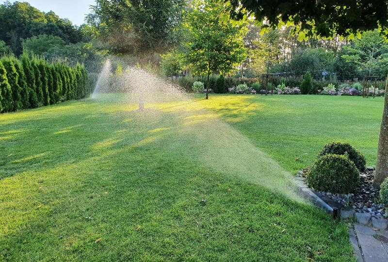 Wasserpumpen für die Gartenbewässerung - REKUBIK® Magazin