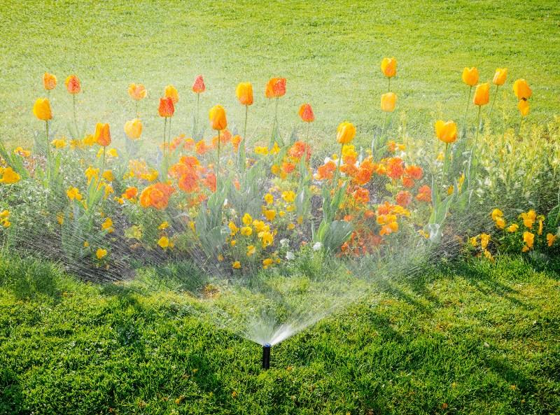 So funktioniert die Sprinkleranlage im Garten REKUBIK® Magazin