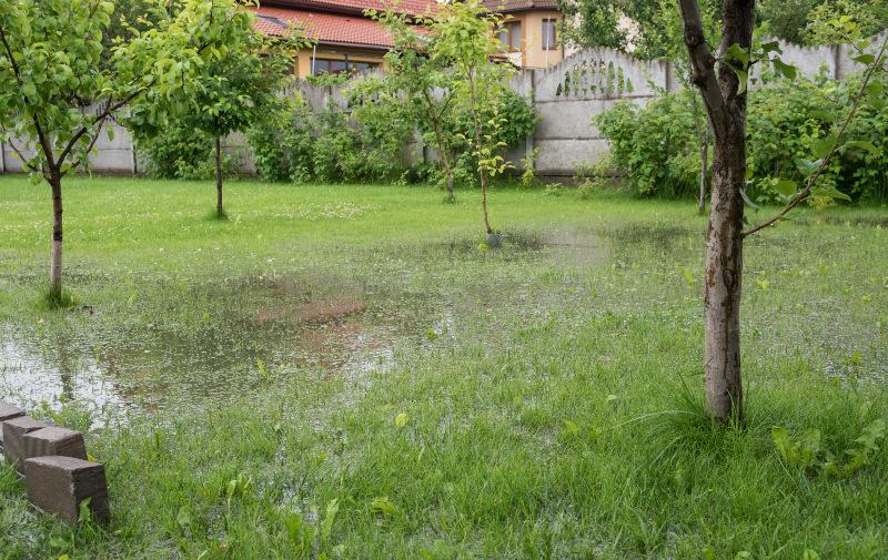Nach heftigen Niederschlägen steht auf einem Gartengrundstück das Wasser Niederschlagswassergebühr