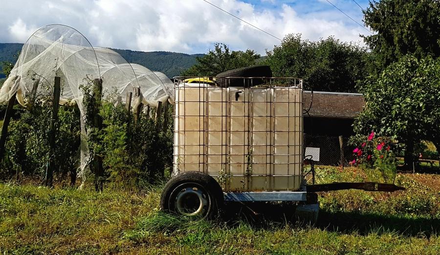 IBC Container steht als Wasservorrat im Garten - Abdeckplane ist sinnvoll