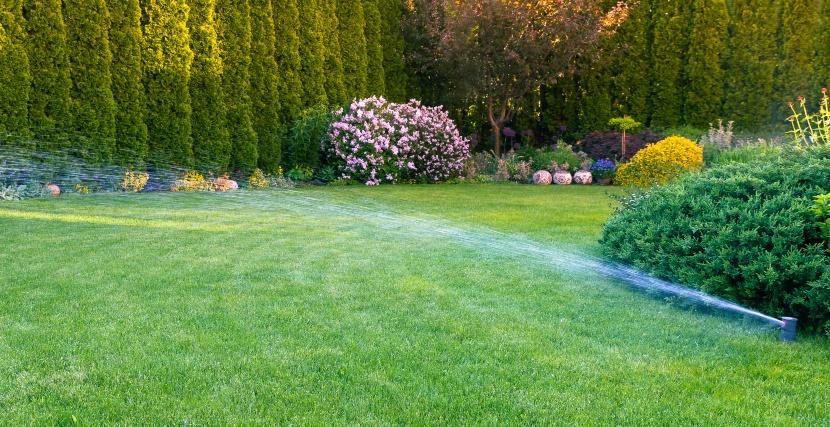 Dry Sprinkler -Fotos Und -Bildmaterial In Hoher Auflösung
