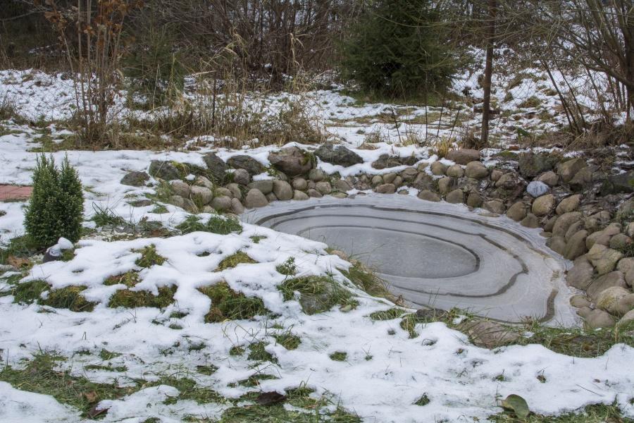 Garten mit Teich im Winter