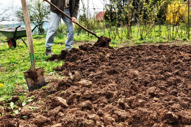Ein Gärtner macht einen zuvor ungenutzten Bereiche im Garten nutzbar, indem er den Bereich umgräbt Boden umgraben