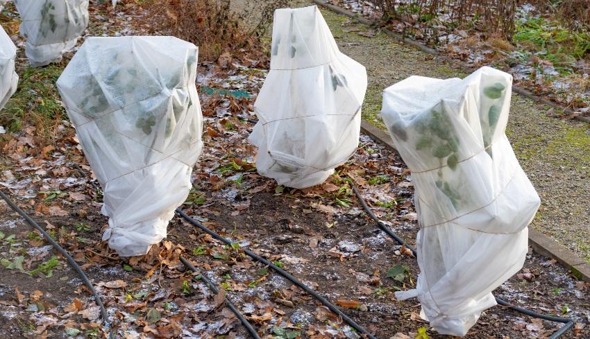 Garten-im-Winter - Wasserleitung frostsicher verlegen